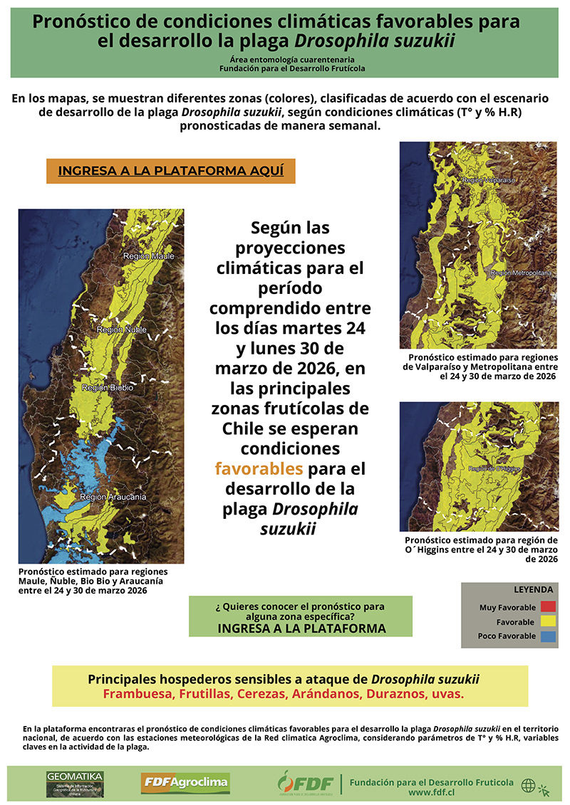 Pronostico Drosophila suzukii