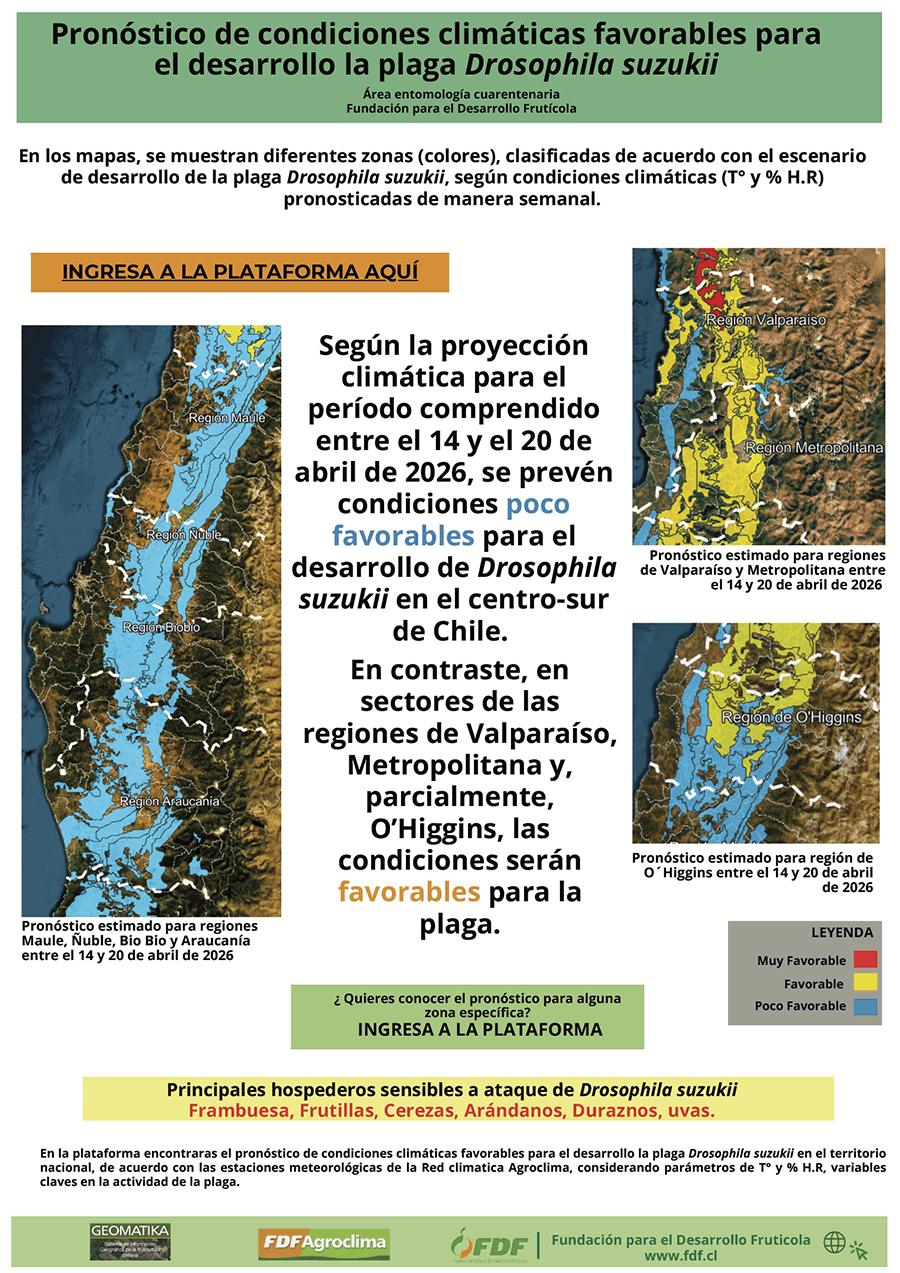 Pronostico Drosophila suzukii