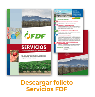 Folleto Servicios FDF