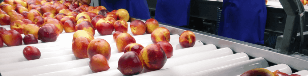 Inocuidad - Calidad - M.A.