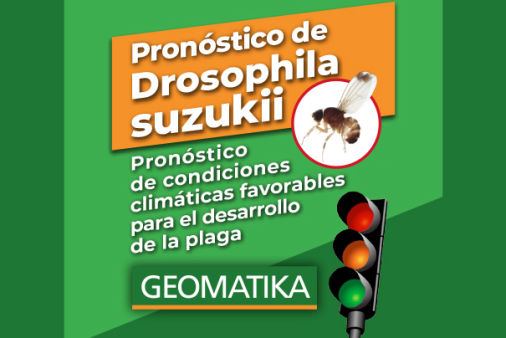 Pronóstico Drosophila suzukii